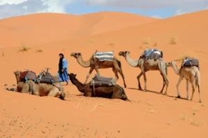 Exploring the Wonders of Erg Chebbi Dunes