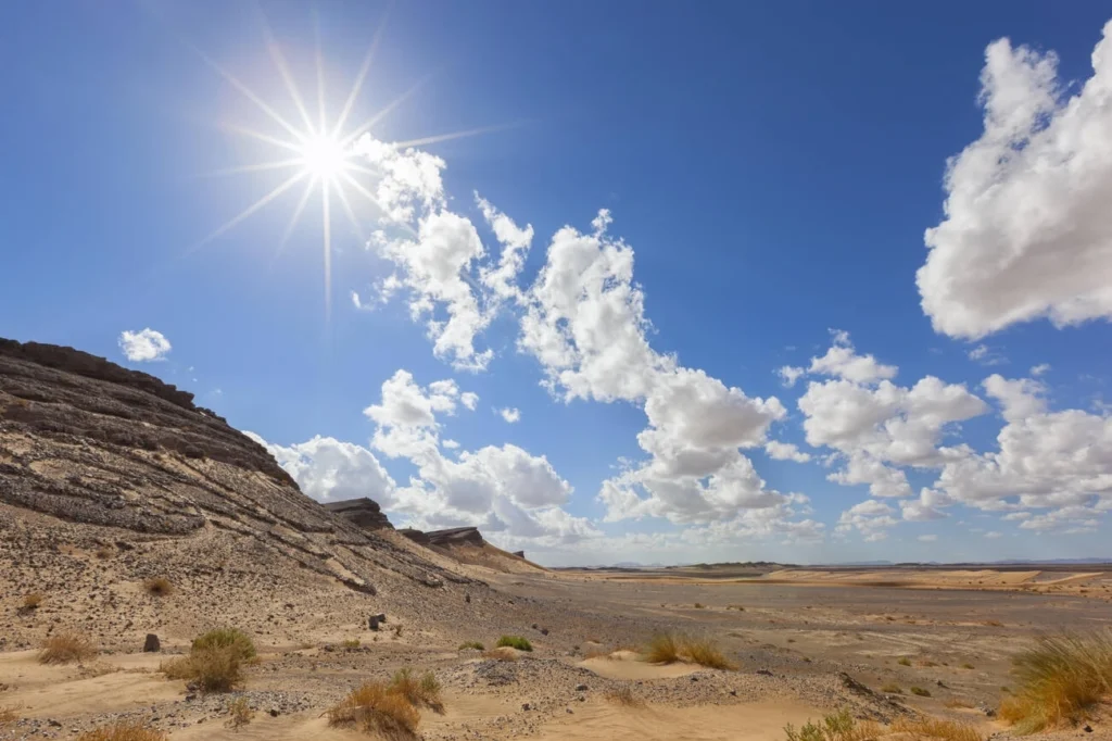 sahara desert with camels