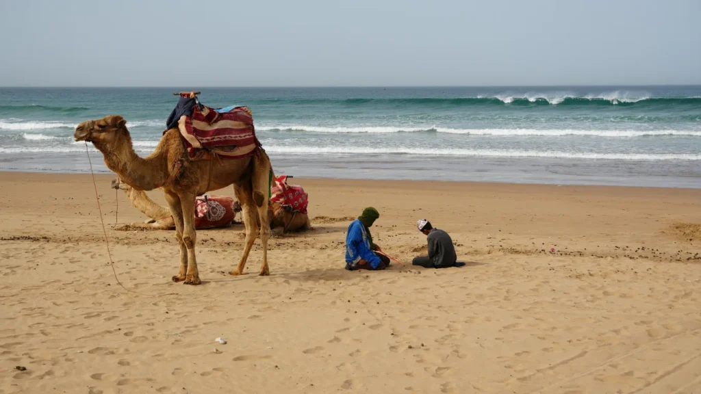 Agadir Beach Comfort and Family Convenience