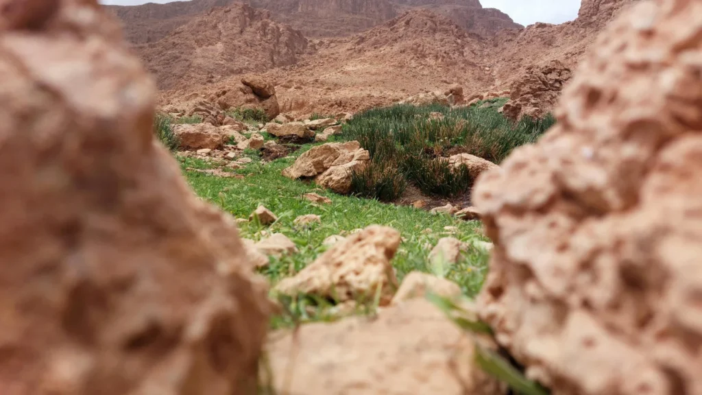 Best Place to Visit in Morocco with Family