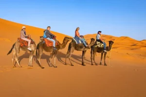 Top 5 Morocco Travel Packages for Adventurers