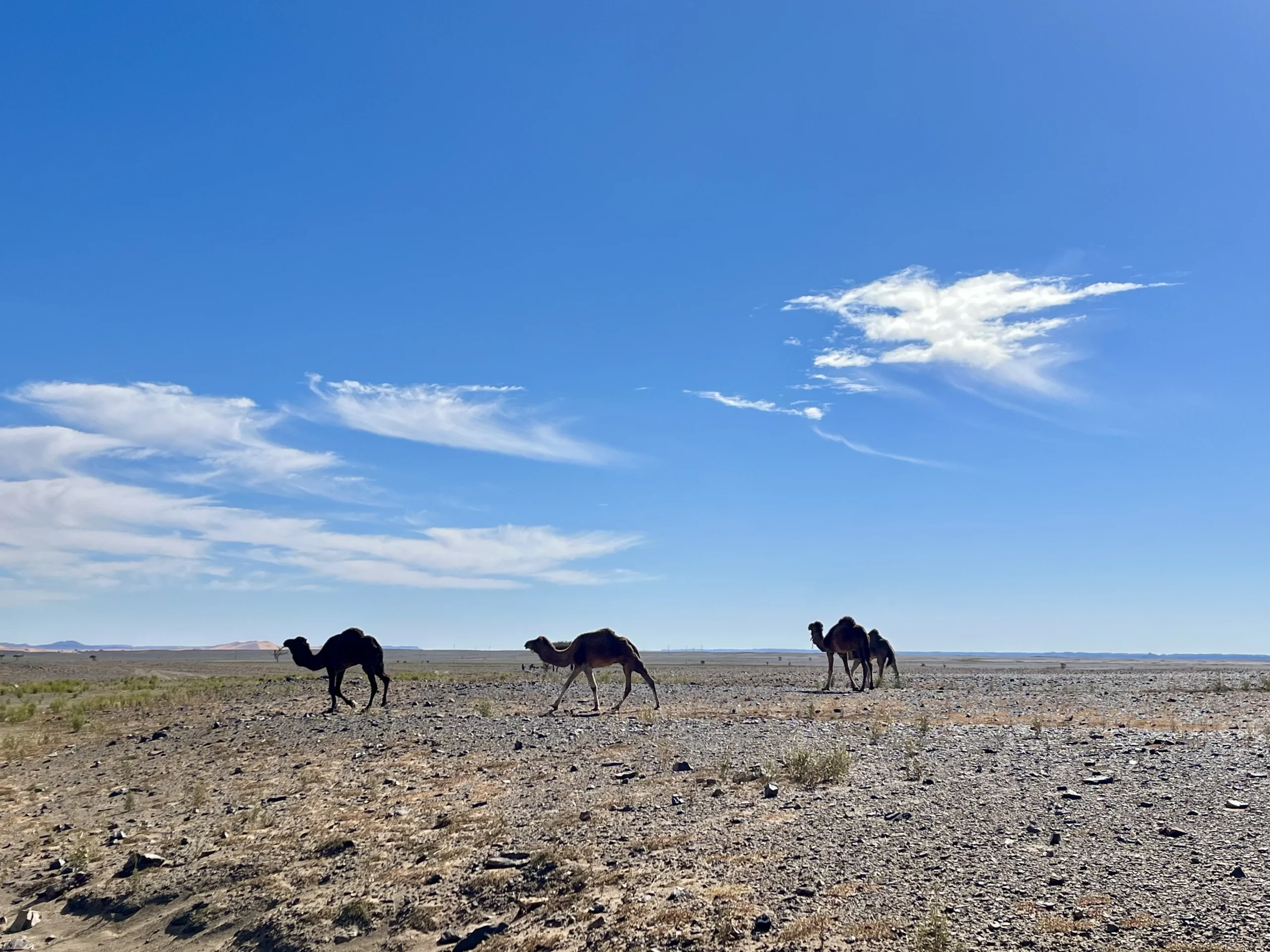 Unveiling the Beauty and Charm of Morocco