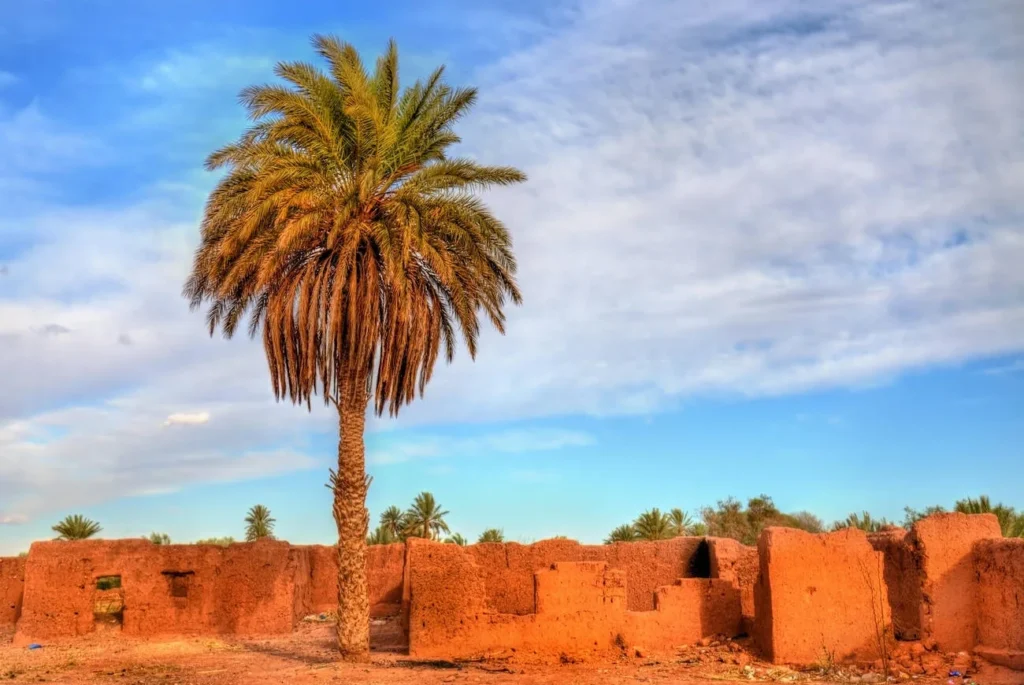 luxury sahara desert tour from marrakech