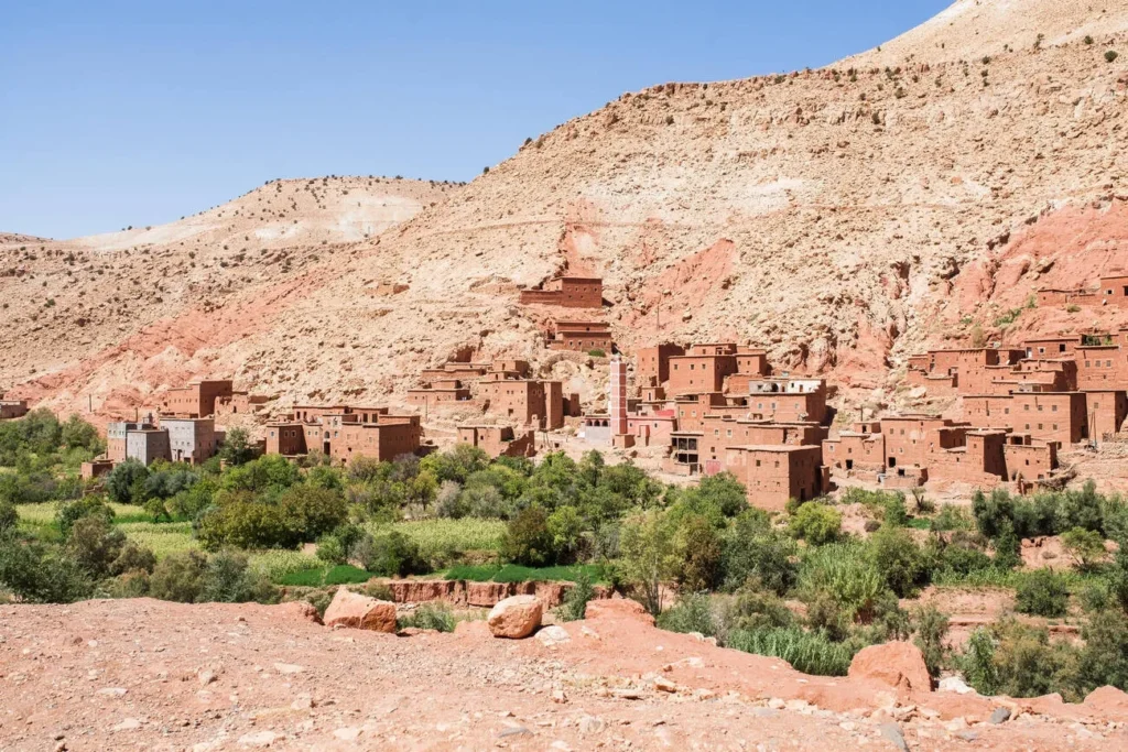 camel tours marrakech morocco