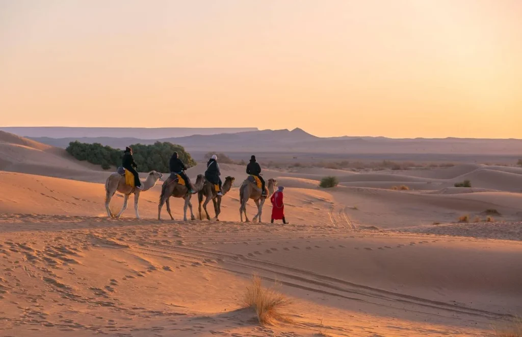 marrakech desert tours