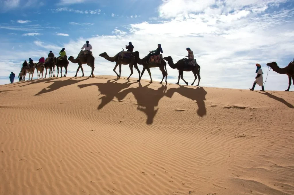 day tours from fez