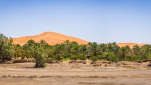 Turismo En Marruecos Recomendaciones