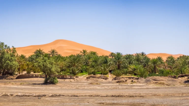 Turismo En Marruecos Recomendaciones