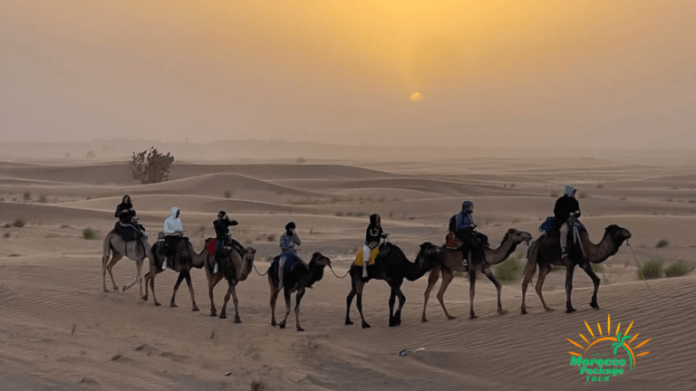 Morocco Desert