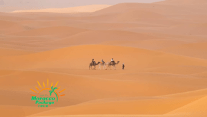 Morocco Travel 摩洛哥 旅遊 心得