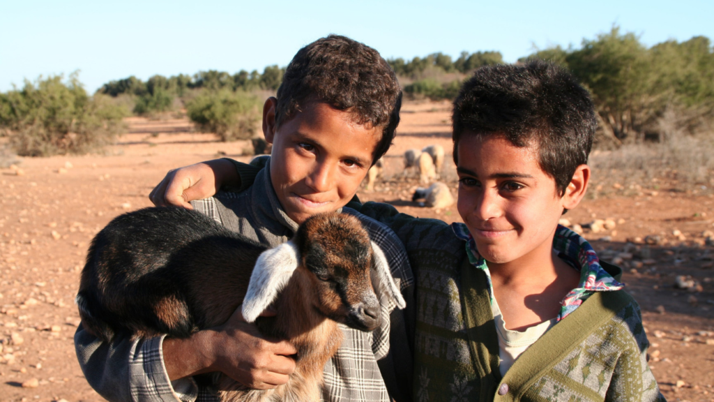 day trips from marrakech