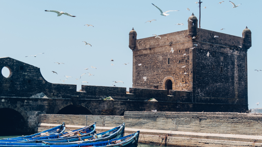 day trips from marrakech morocco
