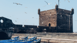 day trips from marrakech morocco