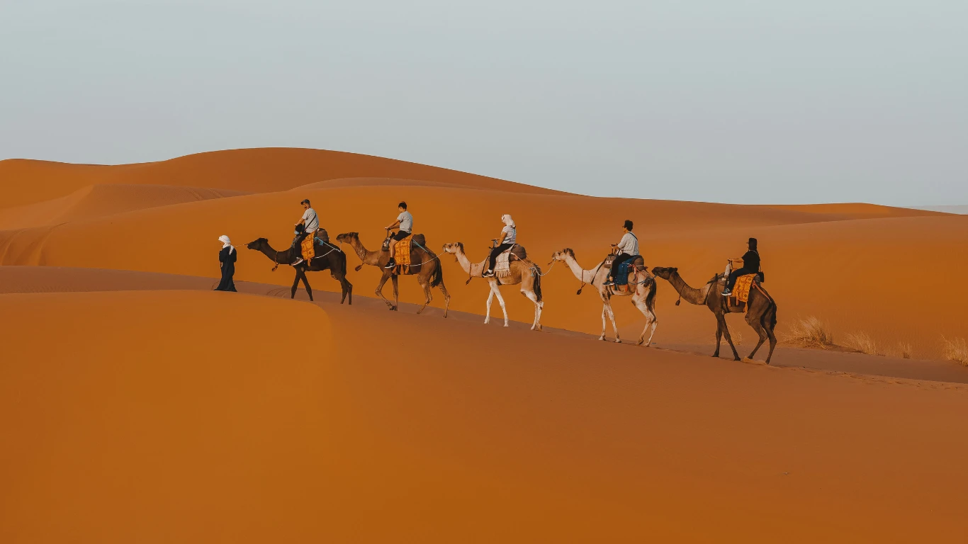 Travelers riding camels through the golden sand dunes of the Sahara Desert during a 3 day tour from Marrakech to Fes.