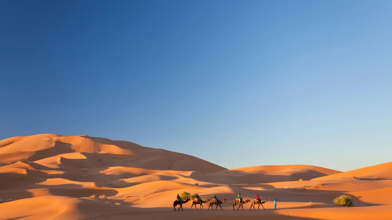 Camel caravan crossing the golden dunes of Merzouga during a 4-day desert tour from Marrakech