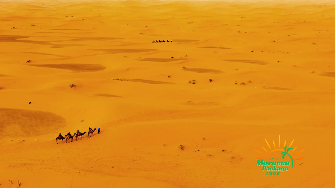 Camel caravan trekking through the vast golden dunes of the Sahara Desert during a 5 day Morocco tour.