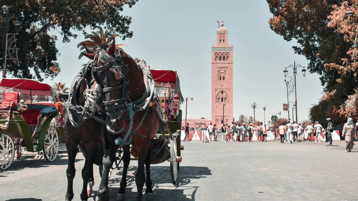 7-day Morocco itinerary starting in Marrakech with a horse-drawn carriage near Koutoubia Mosque