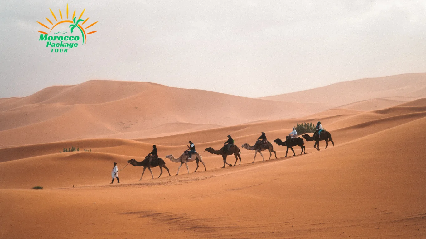 Camel caravan crossing the Erg Chebbi dunes in Merzouga during the 8 day Morocco itinerary