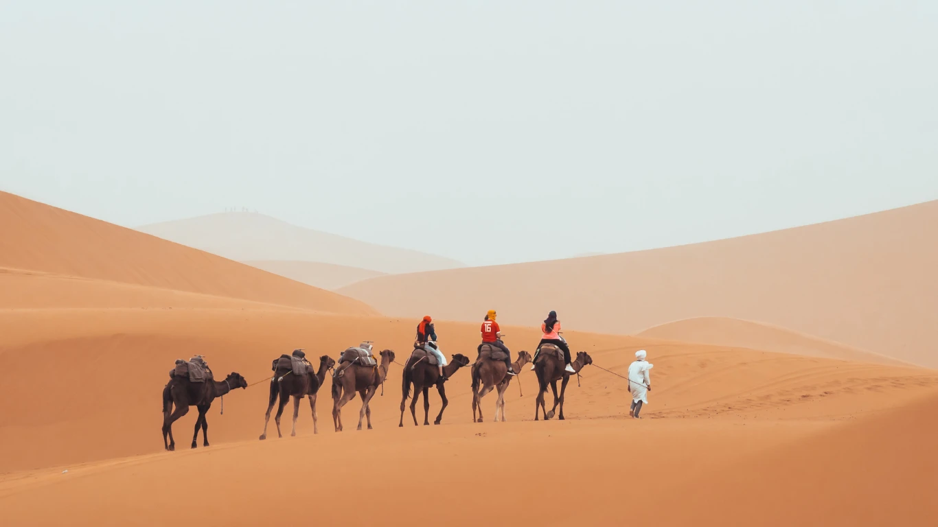 Camel caravan with tourists led by a local guide across the golden dunes of the Sahara Desert during the best 10-day Morocco desert tour itinerary.