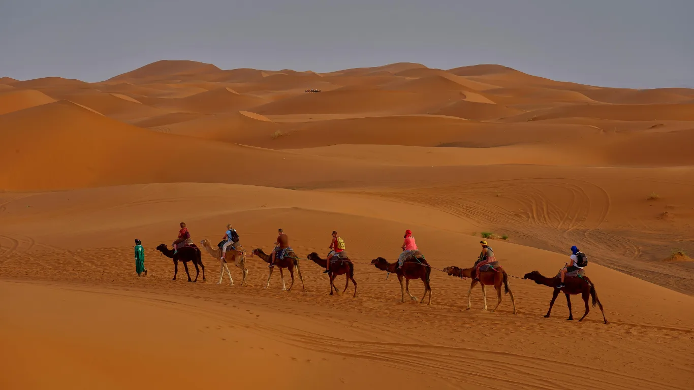 Travelers on a camel caravan crossing the golden dunes during a Fes to Marrakech 3 day desert tour.
