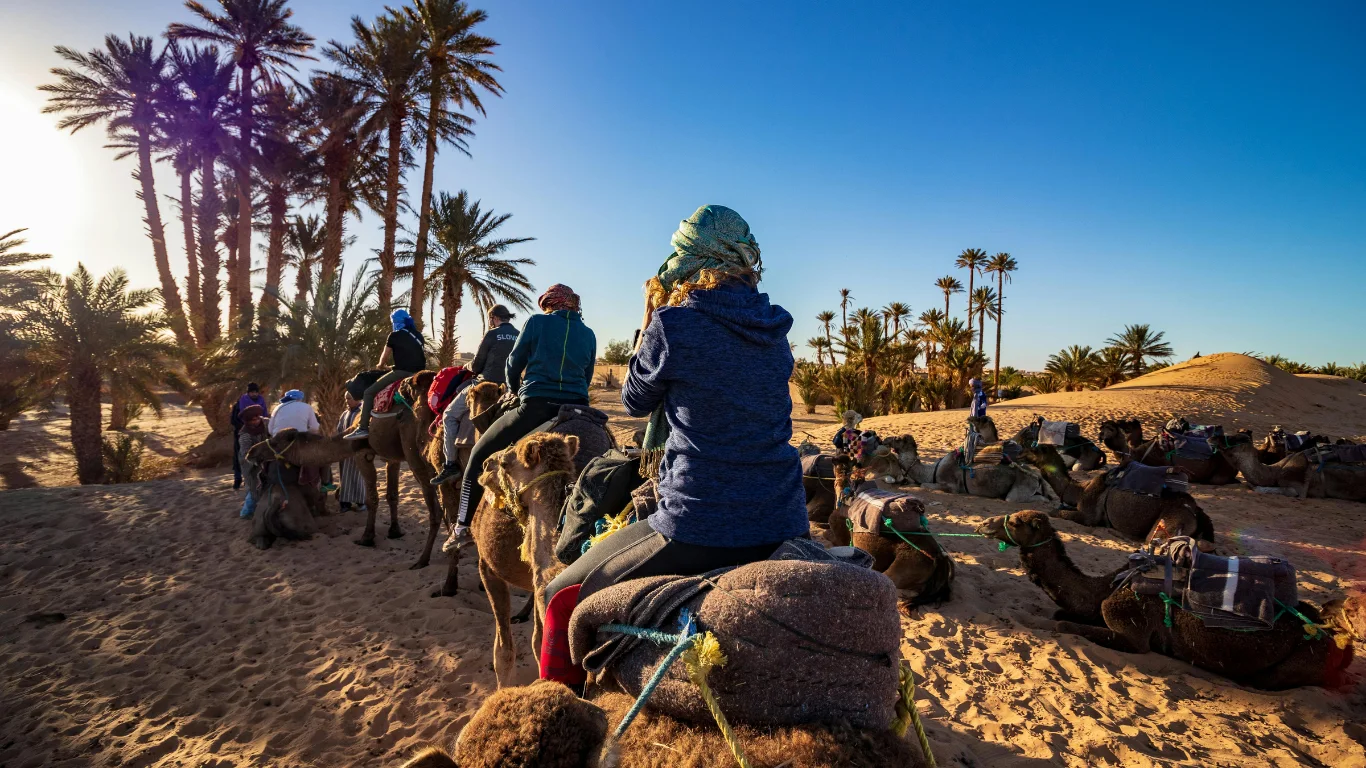 Tourists preparing for a camel ride among palm groves on a Fes to Marrakech 3 days desert tour.