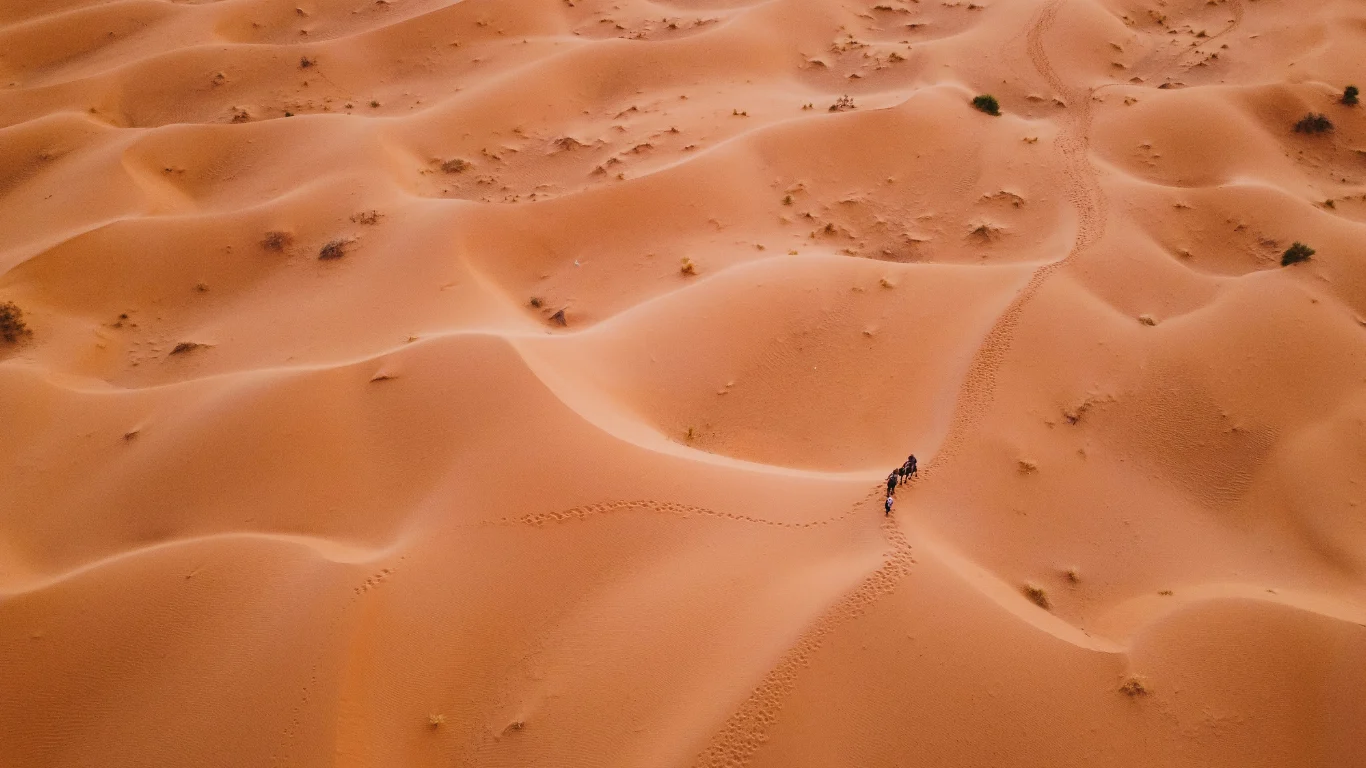 Aerial view of a camel caravan crossing the vast sand dunes of the Sahara Desert on a 3-day tour from Marrakech to Fes.