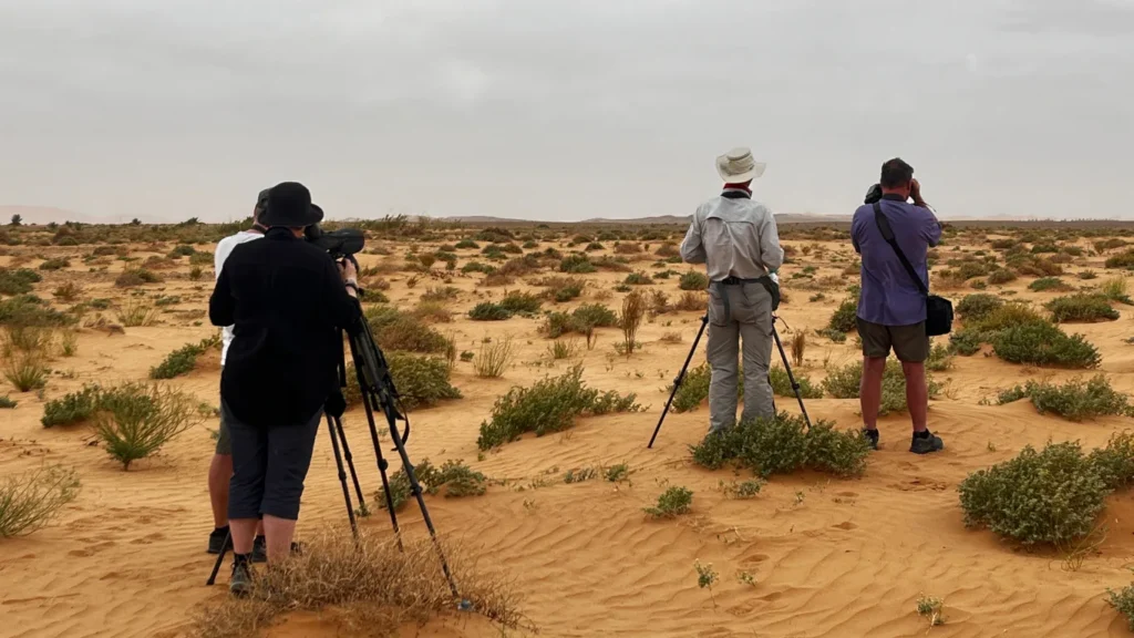 morocco luxury tour packages