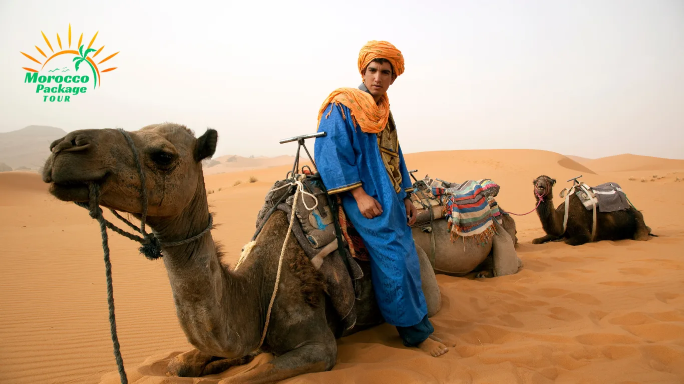 Berber man with camels in the Sahara Desert, a highlight of a 14 days in Morocco itinerary.