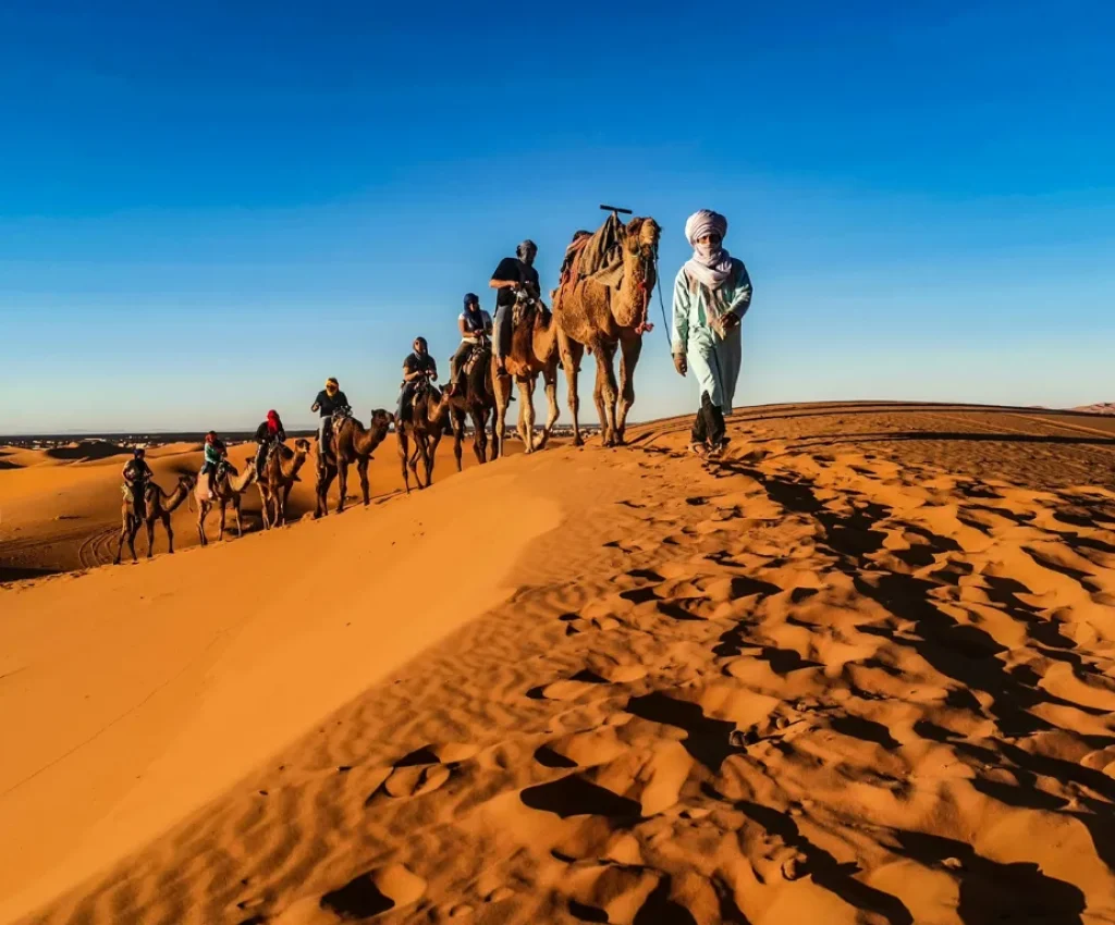 Unforgettable Sahara Camel Trek – 3 Days in Morocco Adventure Camel caravan led by a Berber guide across the golden Sahara dunes at sunset a highlight of 3 days in Morocco.