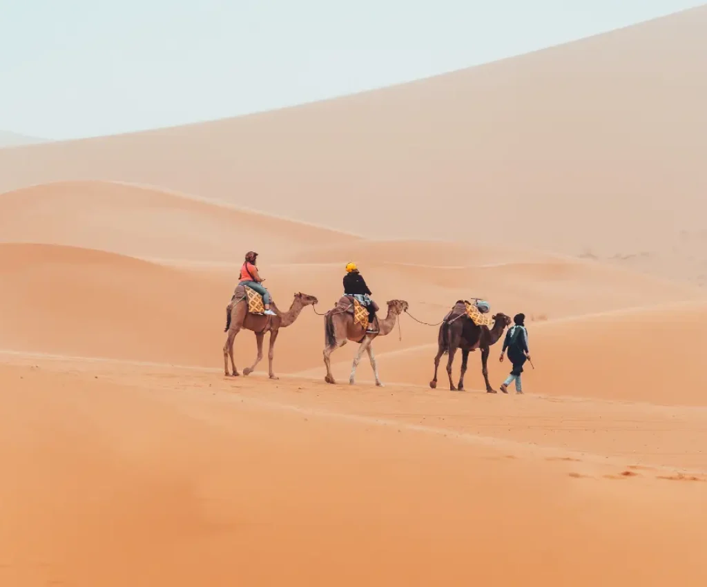 Camel caravan crossing the golden sand dunes of Erg Chebbi during a 4 days 3 nights desert tour from Marrakech to Fez.
