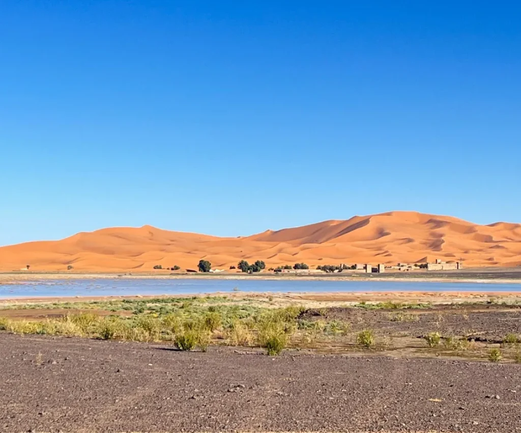 Golden Sahara dunes rise beyond a tranquil desert lake near Merzouga, Morocco, under a cloudless blue sky.