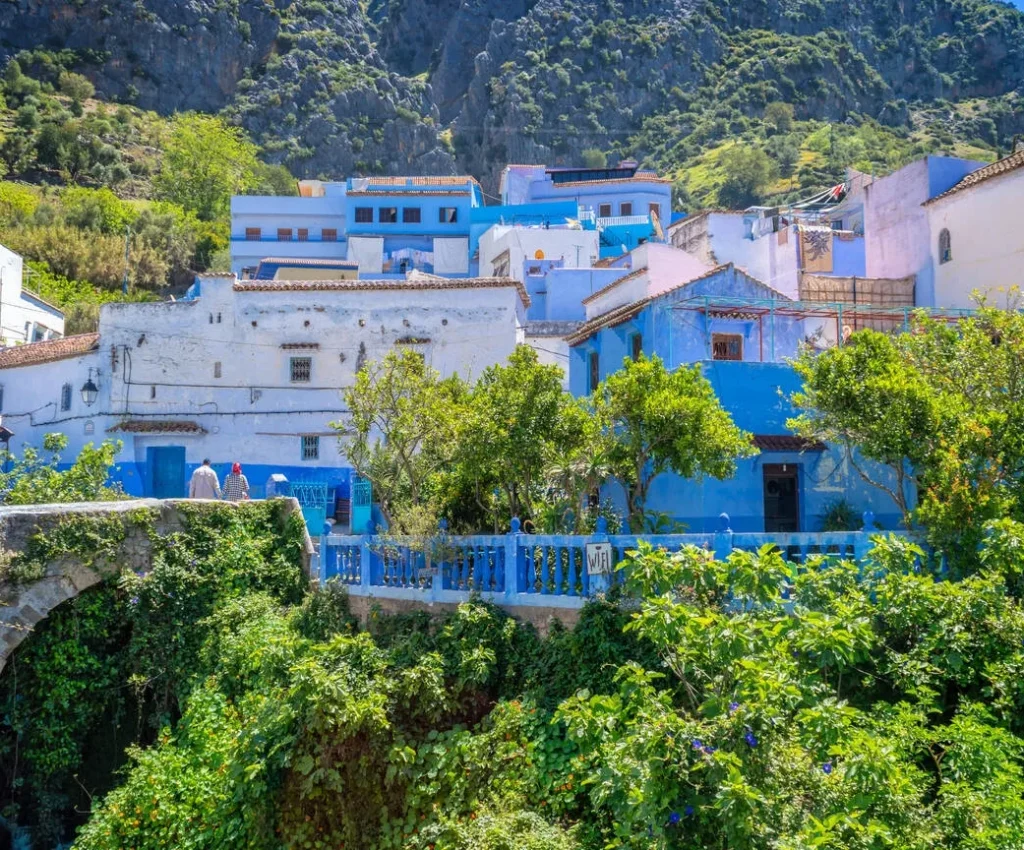 chefchaouen day tour from fes