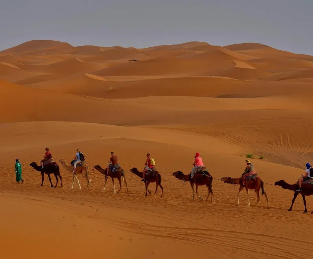 Sahara Camel Trek – Fes to Marrakech 3 Day Desert Tour Travelers on a camel caravan crossing the golden dunes during a Fes to Marrakech 3 day desert tour.