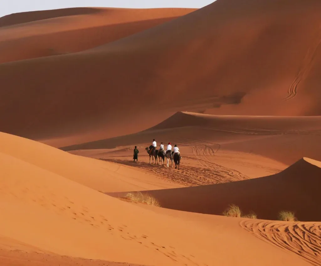 Camel Trekking on a Fes to Marrakech Desert Tour 3 Days Adventure Camel caravan crossing the golden dunes during a Fes to Marrakech desert tour 3 days experience.