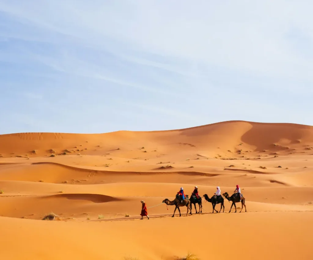 Fes to Marrakech Desert Tour – Camel Trekking in the Sahara Camel caravan crossing the golden Sahara dunes on a Fes to Marrakech desert tour.