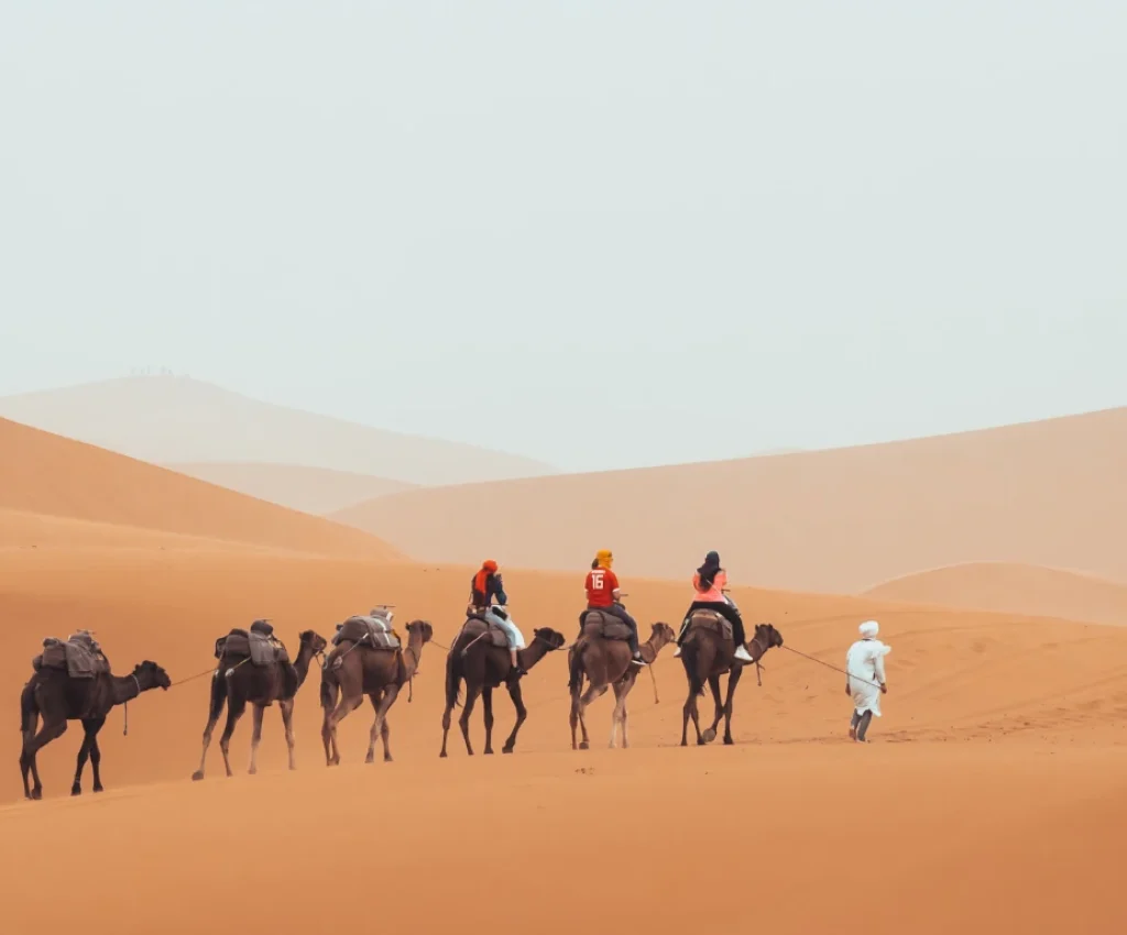 Camel caravan crossing the Sahara Desert during a Morocco 7 day itinerary from Marrakech.
