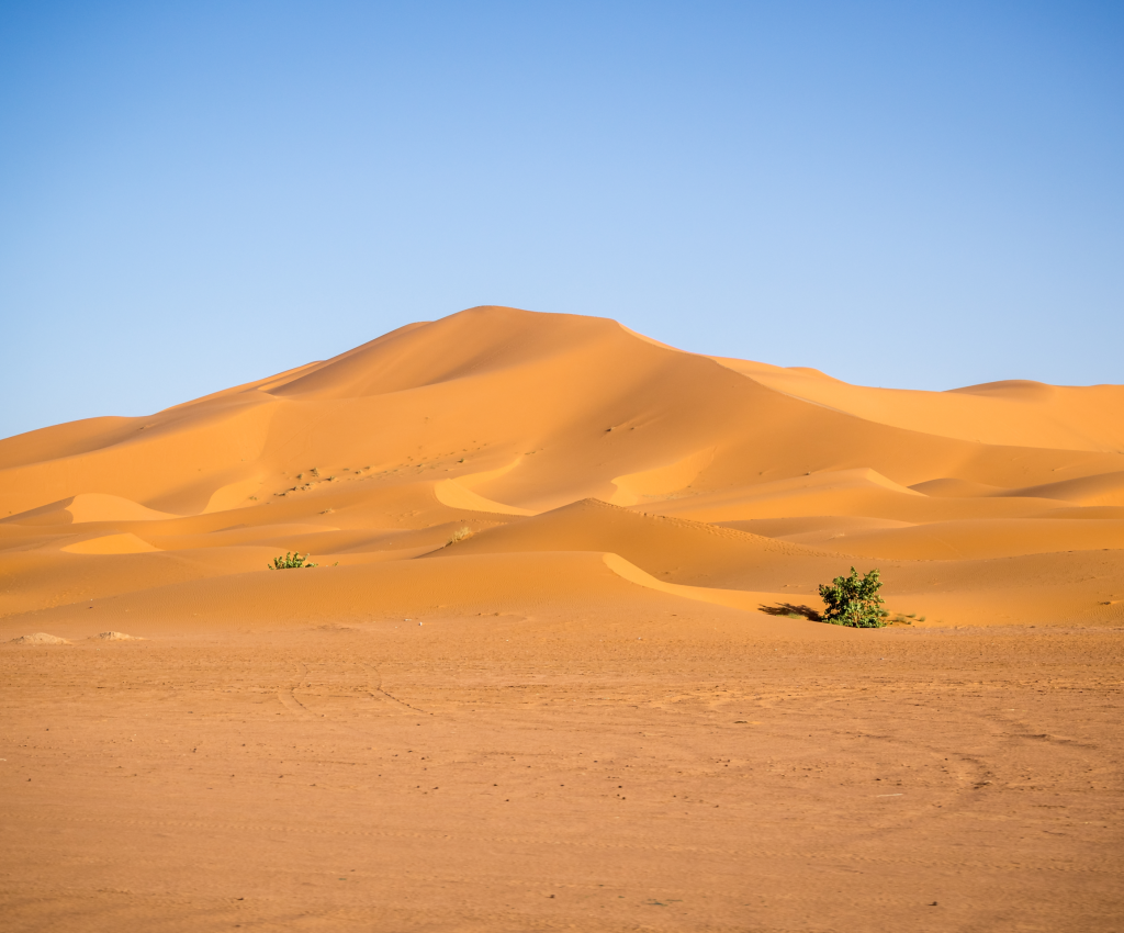 desert experience house