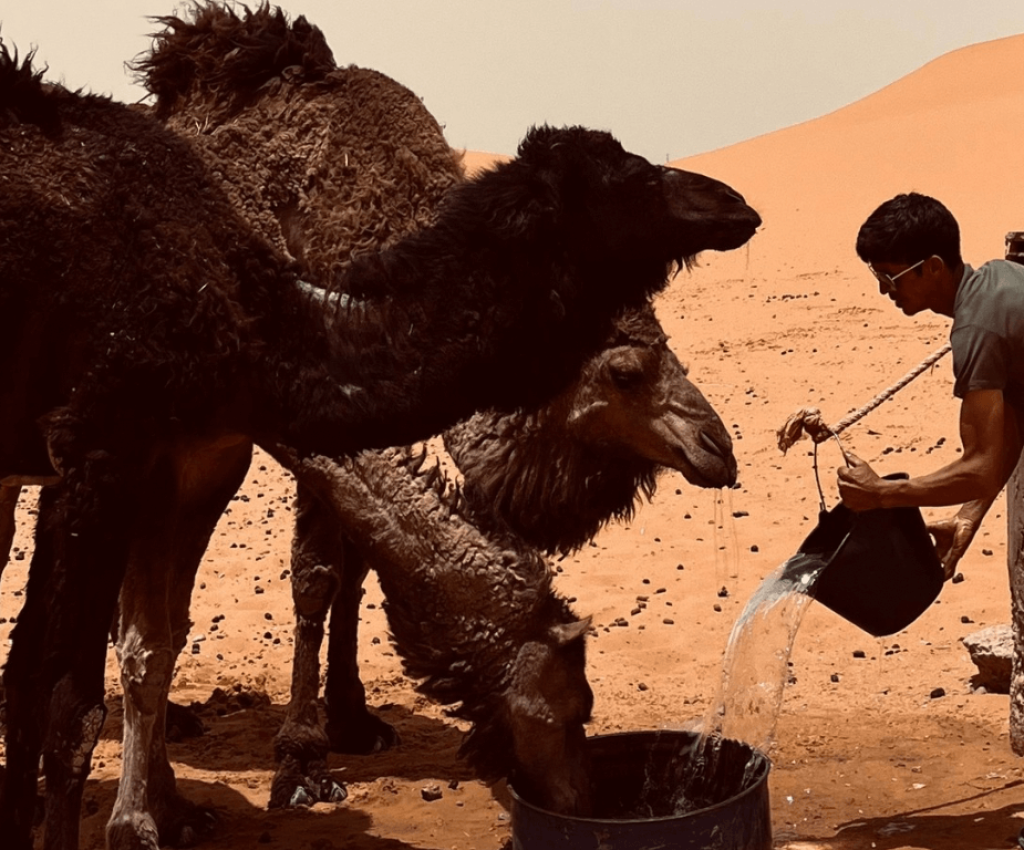 small group luxury tours morocco small group luxury tours morocco